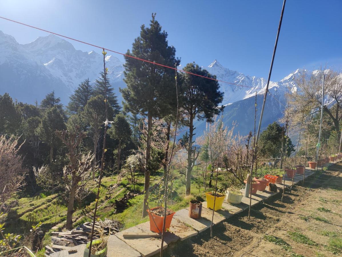 Silk Route Home Stay Kalpa Eksteriør bilde